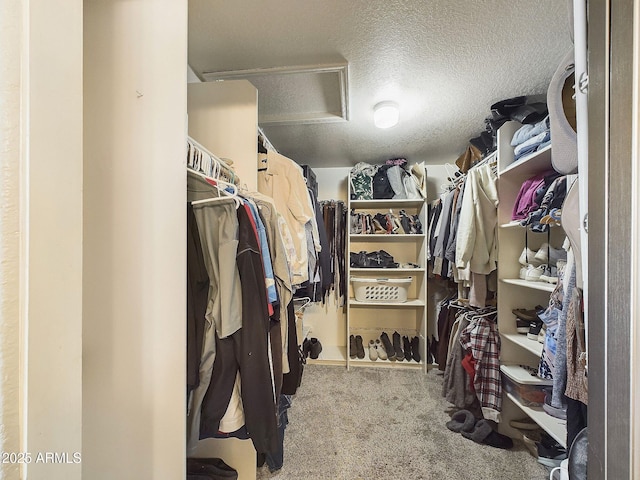 4530 W Misty Willow Ln, Glendale, AZ 85310 - walk in closet featuring carpet flooring