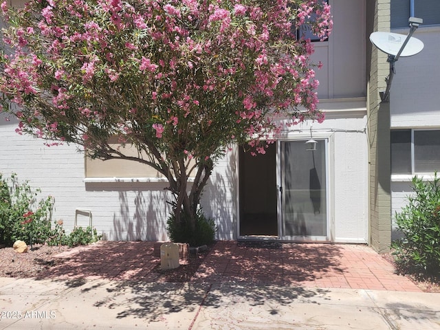 720 N 82nd St Unit E116, Scottsdale, AZ 85257 - property entrance with a patio area and brick siding
