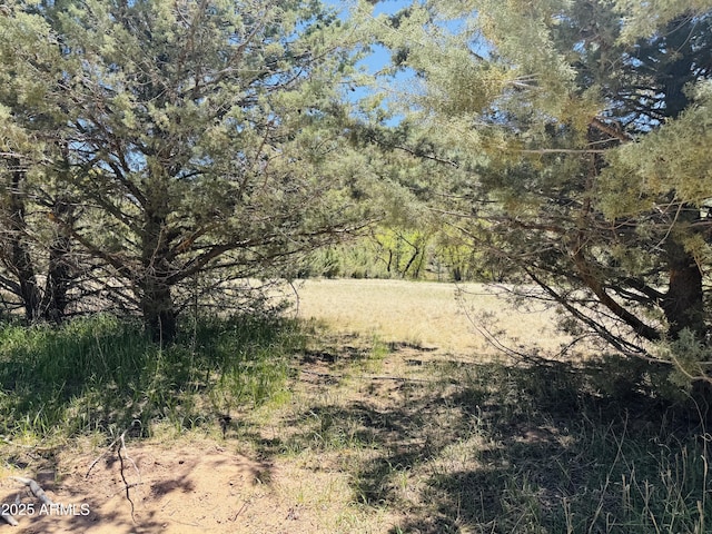 000 Juniper Rd Unit 149B, Pine, AZ 85544