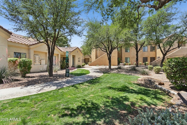 view of grassy yard