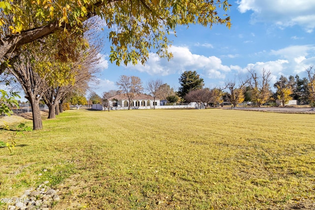 view of yard