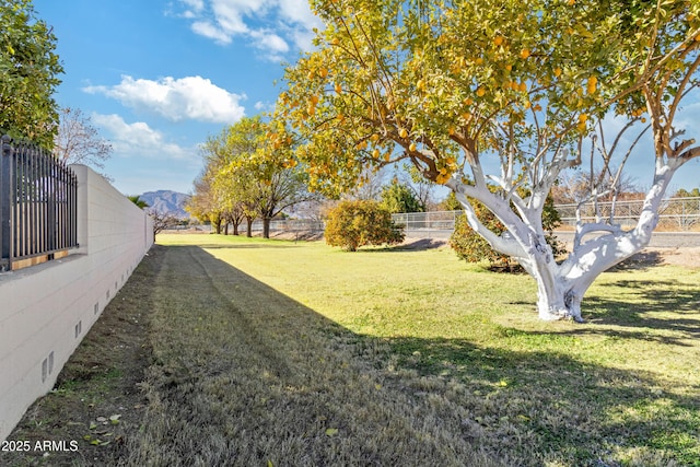 view of yard with a mountain view