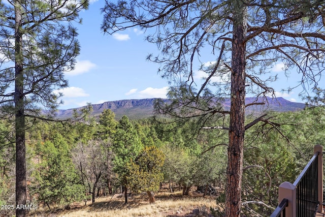 6602 W Dogwood Ln, Pine, AZ 85544 - mountain view featuring a forest view