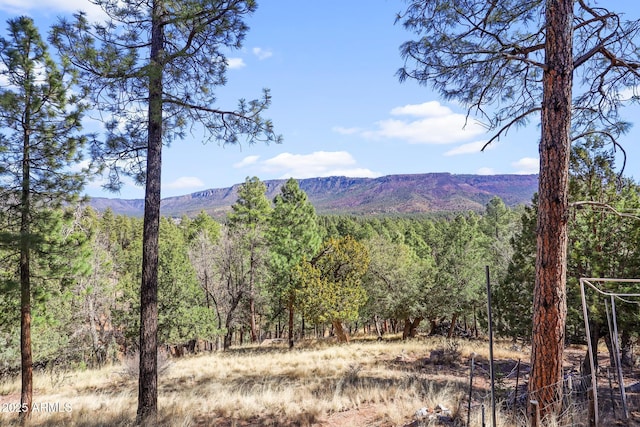 6602 W Dogwood Ln, Pine, AZ 85544 - property view of mountains with a view of trees