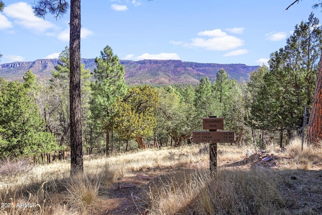 6602 W Dogwood Ln, Pine, AZ 85544 - view of mountain feature featuring a view of trees