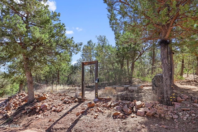 6602 W Dogwood Ln, Pine, AZ 85544 - view of yard