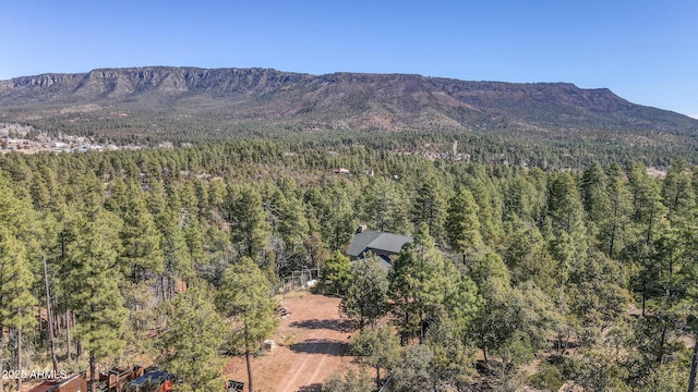 6602 W Dogwood Ln, Pine, AZ 85544 - property view of mountains featuring a wooded view