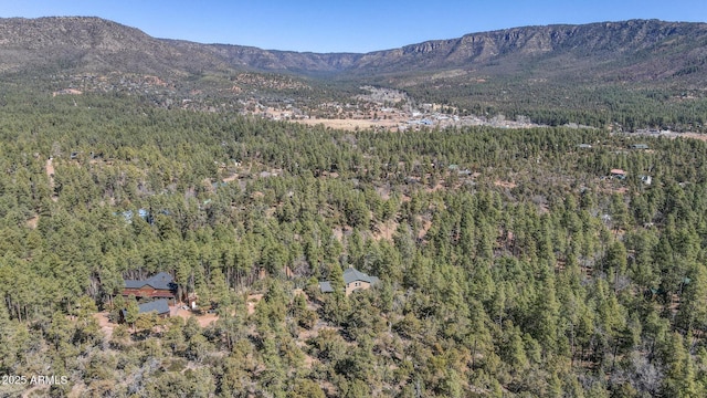 6602 W Dogwood Ln, Pine, AZ 85544 - property view of mountains with a view of trees
