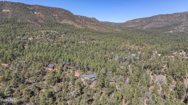 6602 W Dogwood Ln, Pine, AZ 85544 - property view of mountains with a forest view