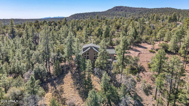 6602 W Dogwood Ln, Pine, AZ 85544 - bird's eye view with a mountain view and a view of trees