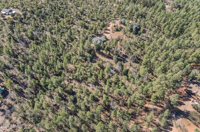 6602 W Dogwood Ln, Pine, AZ 85544 - drone / aerial view with a view of trees
