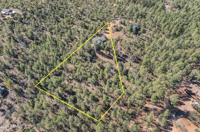 6602 W Dogwood Ln, Pine, AZ 85544 - drone / aerial view featuring a view of trees