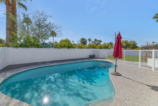 view of swimming pool featuring a patio area