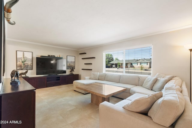 living room featuring crown molding