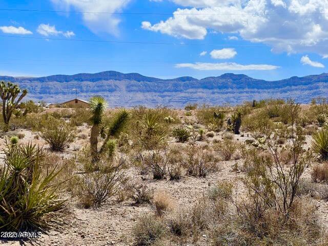 30390 N Dutton Dr Unit 182, Meadview AZ, 86444 land for sale