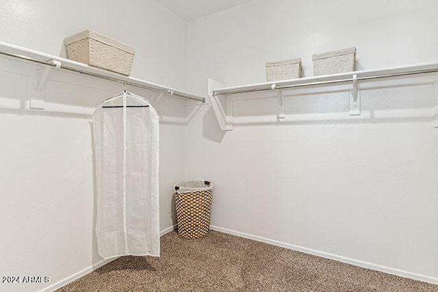 walk in closet with carpet flooring