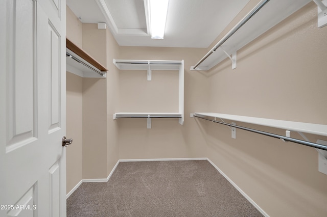 spacious closet with carpet