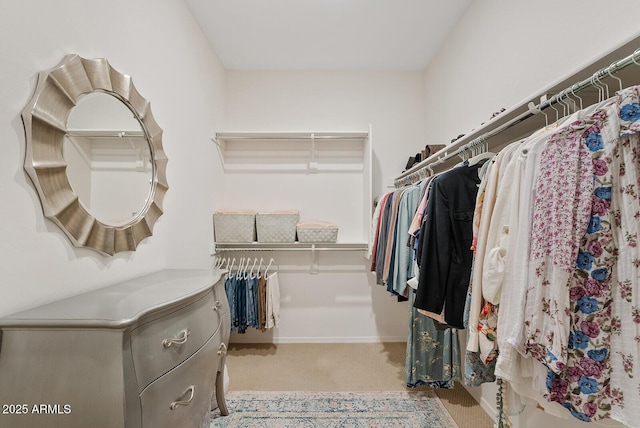 walk in closet with carpet