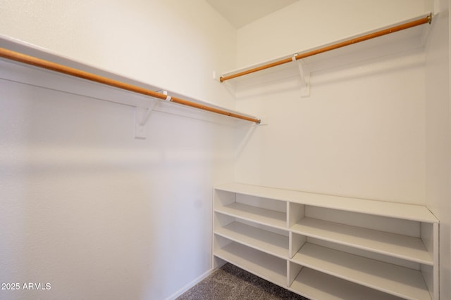 walk in closet with carpet