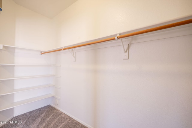 walk in closet with carpet