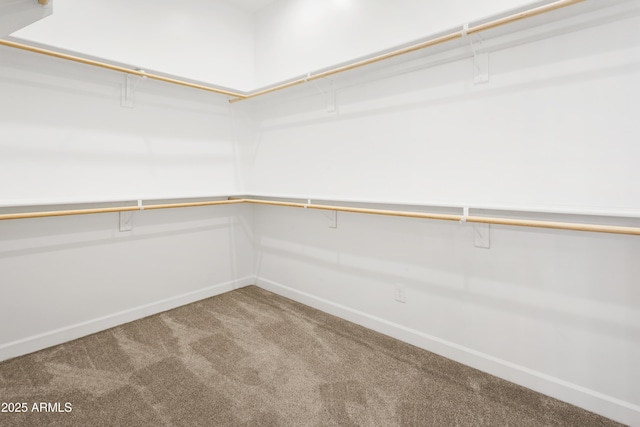 6133 E Dixileta Dr, Cave Creek, AZ 85331 - spacious closet featuring carpet