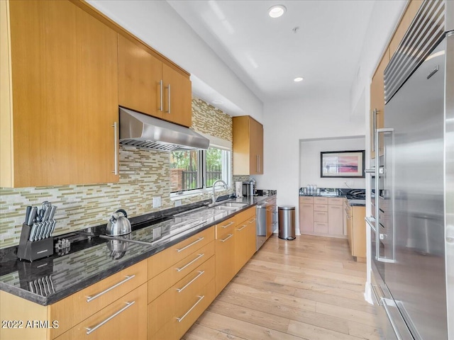 kitchen with sink, appliances with stainless steel finishes, dark stone countertops, range hood, and light wood-type flooring