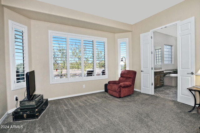 living area with dark carpet