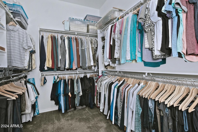 spacious closet featuring dark colored carpet