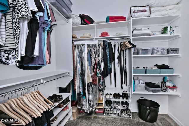 spacious closet featuring carpet