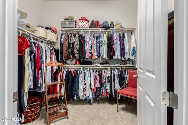 walk in closet with carpet flooring