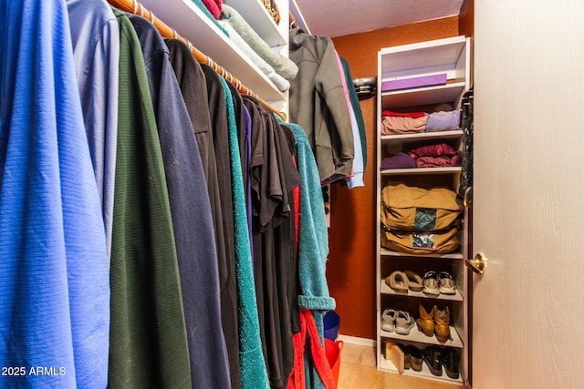 view of spacious closet