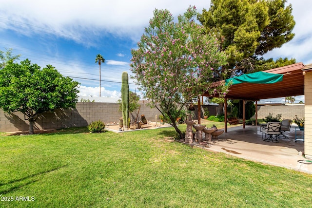 view of yard featuring a patio