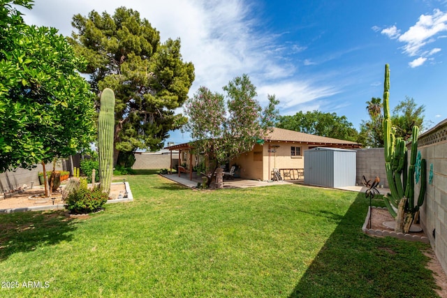 view of yard featuring a patio, a storage unit, and an outbuilding