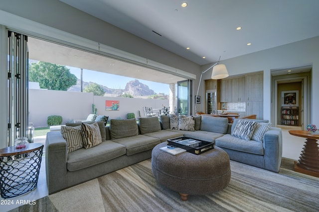 living room featuring a mountain view and wood-type flooring