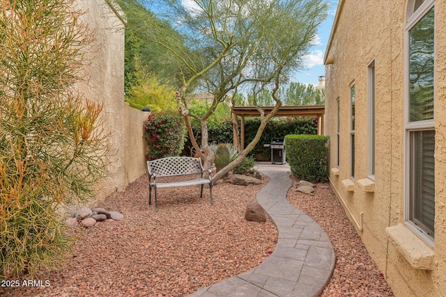 view of yard featuring a patio area