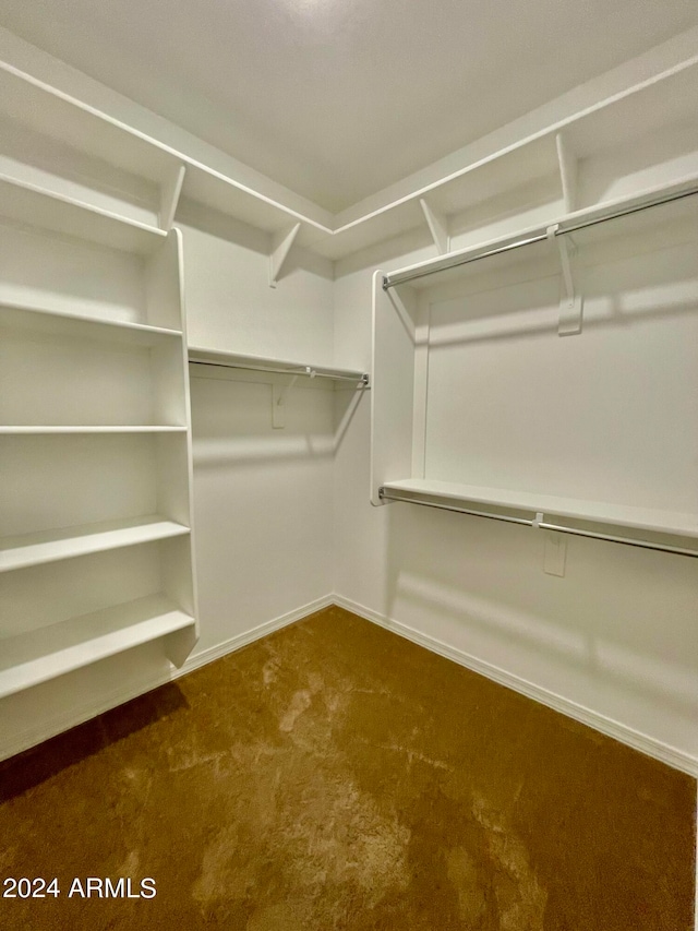 spacious closet featuring carpet