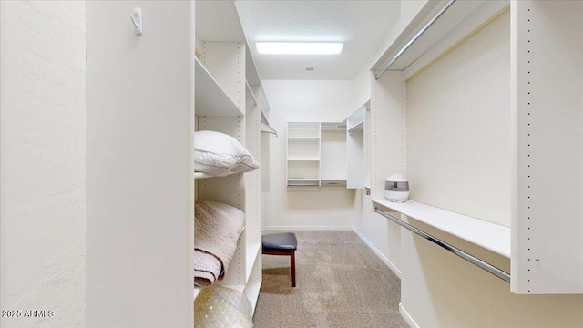 spacious closet featuring carpet flooring