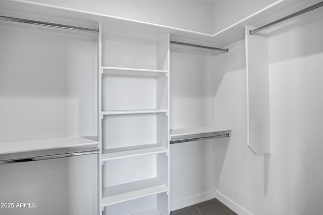 spacious closet featuring carpet floors