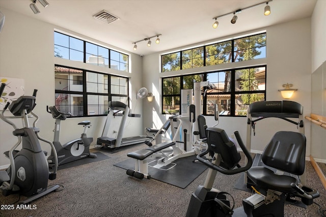 750 E Northern Ave Unit 2143, Phoenix, AZ 85020 - workout area with track lighting, a high ceiling, baseboards, and carpet floors