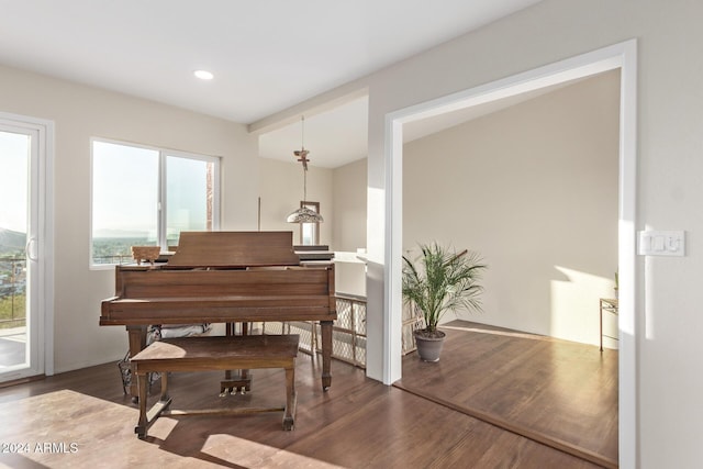 miscellaneous room with hardwood / wood-style flooring