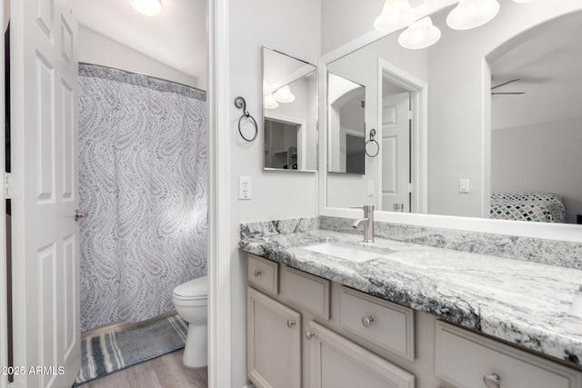 bathroom with toilet, curtained shower, wood finished floors, and vanity