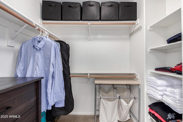 spacious closet with carpet floors