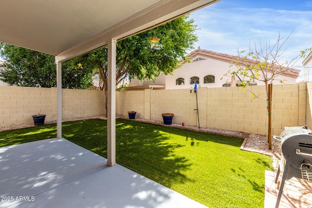 view of yard featuring a patio area and a fenced backyard