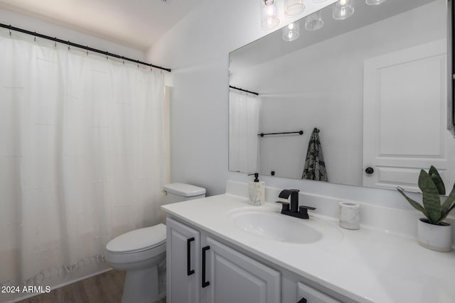 bathroom featuring toilet, a shower with curtain, wood finished floors, and vanity