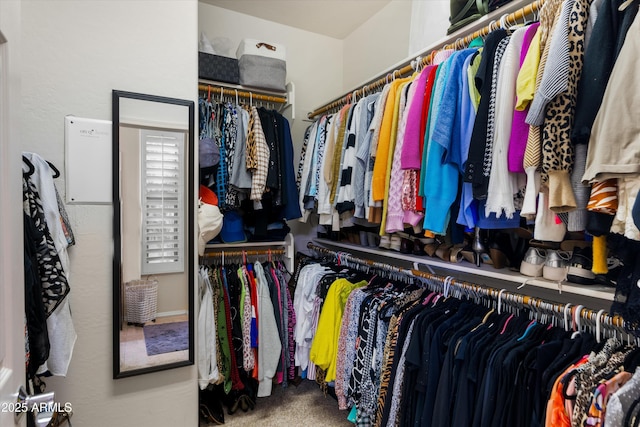 4200 E Narrowleaf Dr, Gilbert, AZ 85298 - spacious closet with carpet floors
