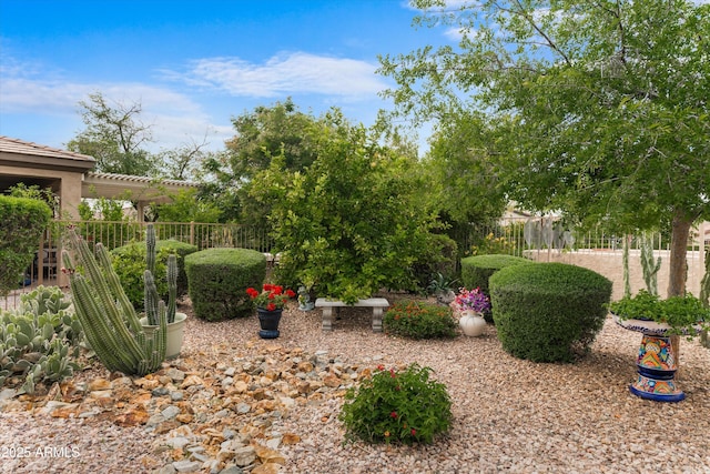 4200 E Narrowleaf Dr, Gilbert, AZ 85298 - view of yard with fence