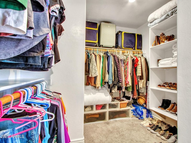 2724 W Fernwood Dr, Phoenix, AZ 85086 - walk in closet featuring carpet