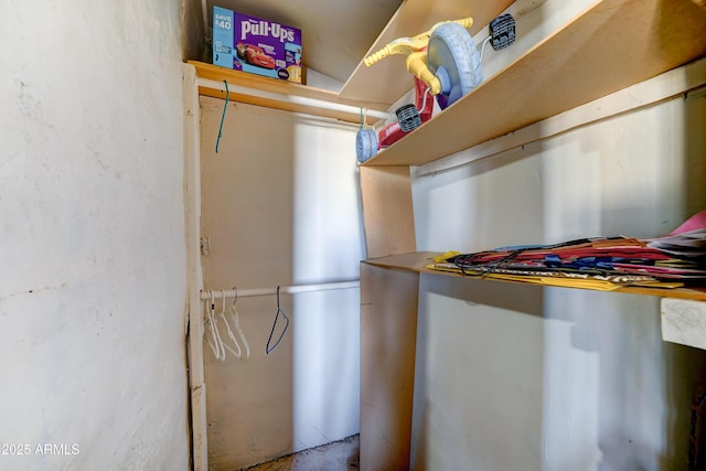 6541 N 54th Ave, Glendale, AZ 85301 - view of spacious closet