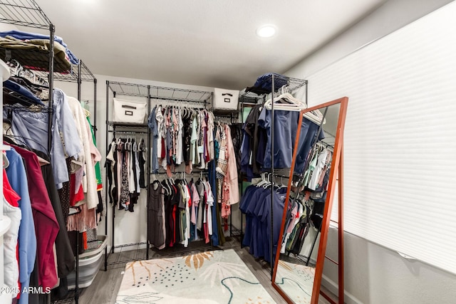 walk in closet featuring wood finished floors