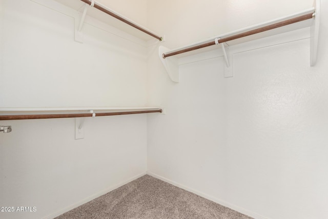 walk in closet with carpet